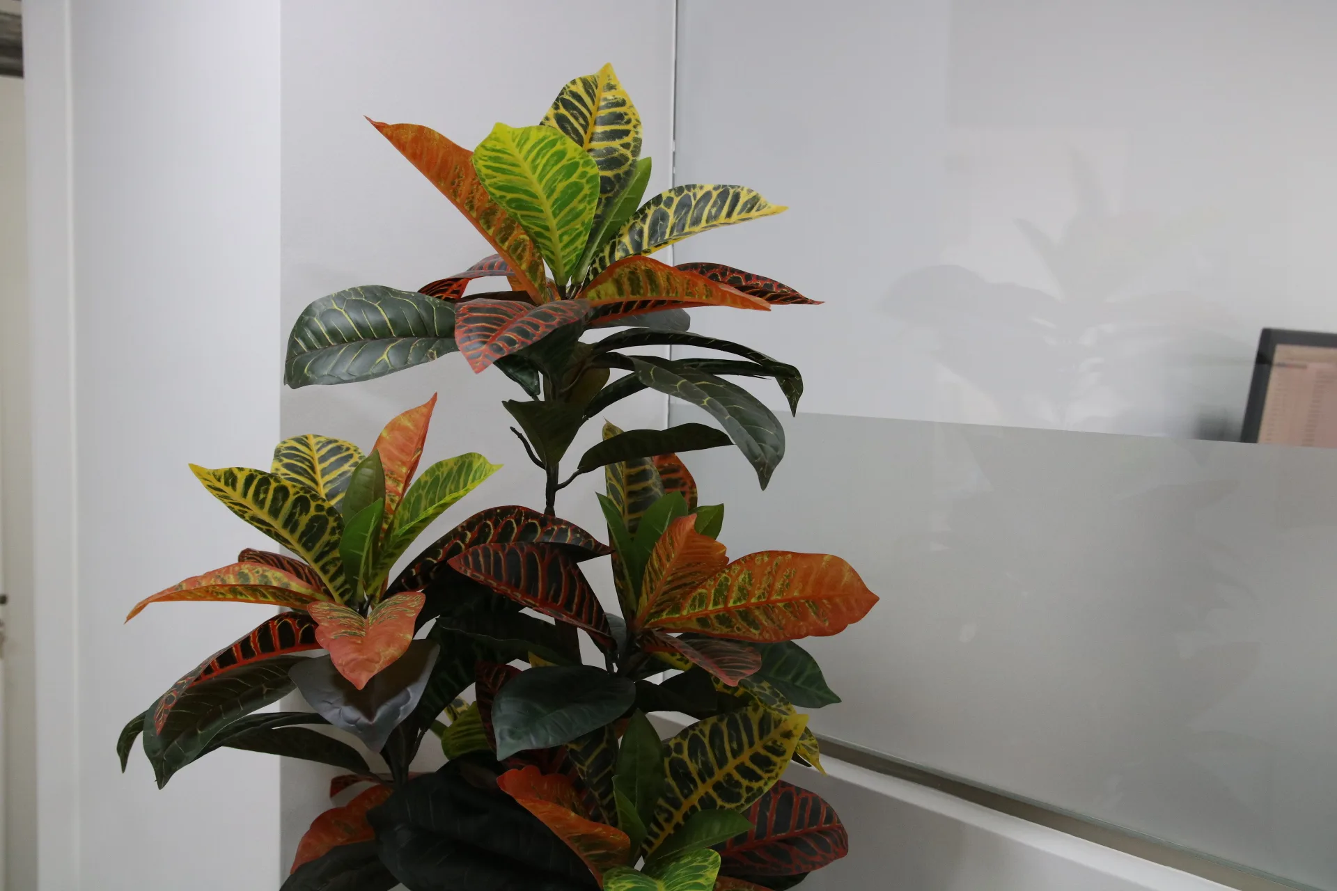 Periodoncista realizando sondaje periodontal en paciente con movilidad dental en PerioMax Alicante