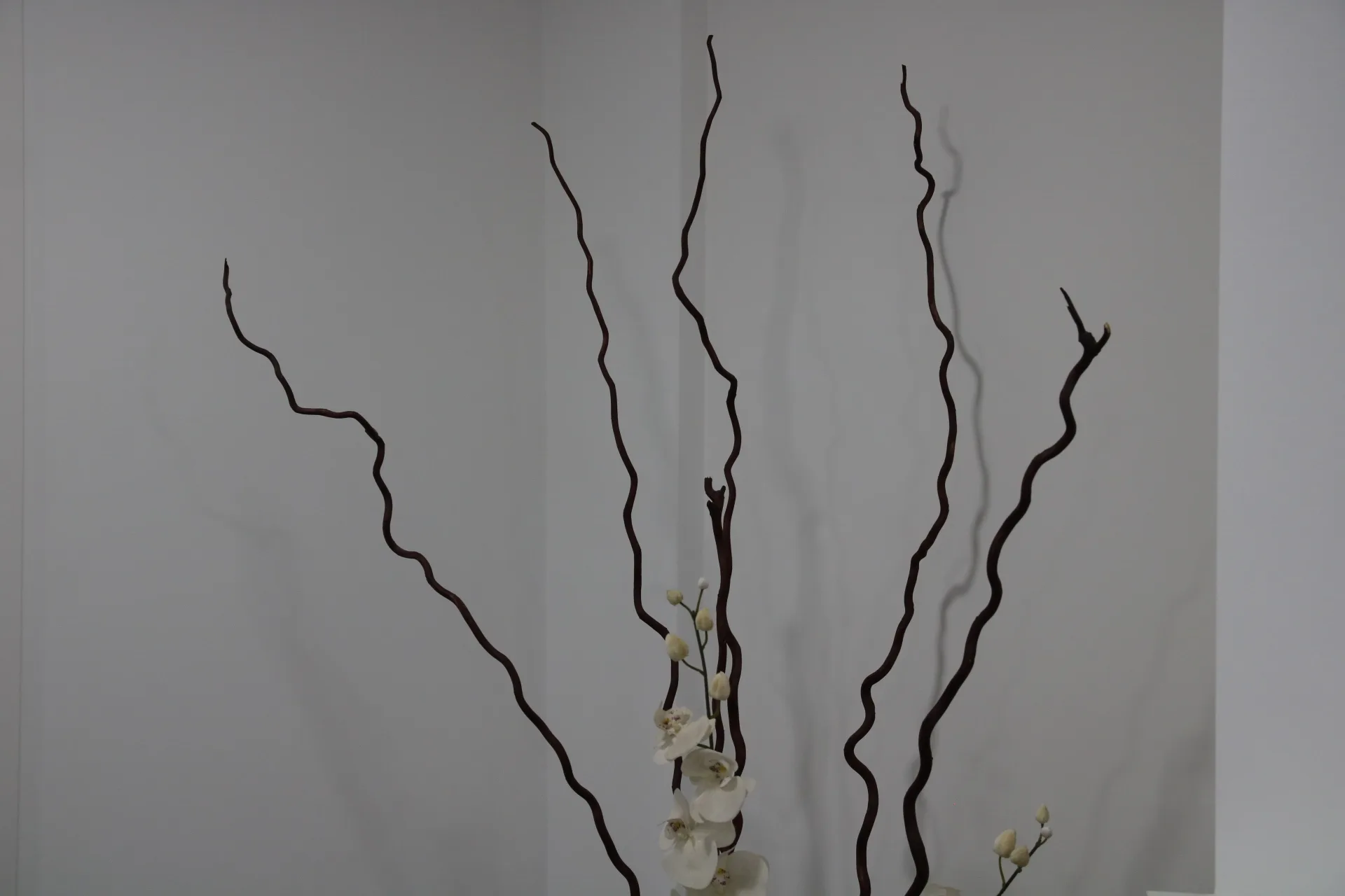 Evaluación personalizada para implantes dentales en PerioMax Alicante