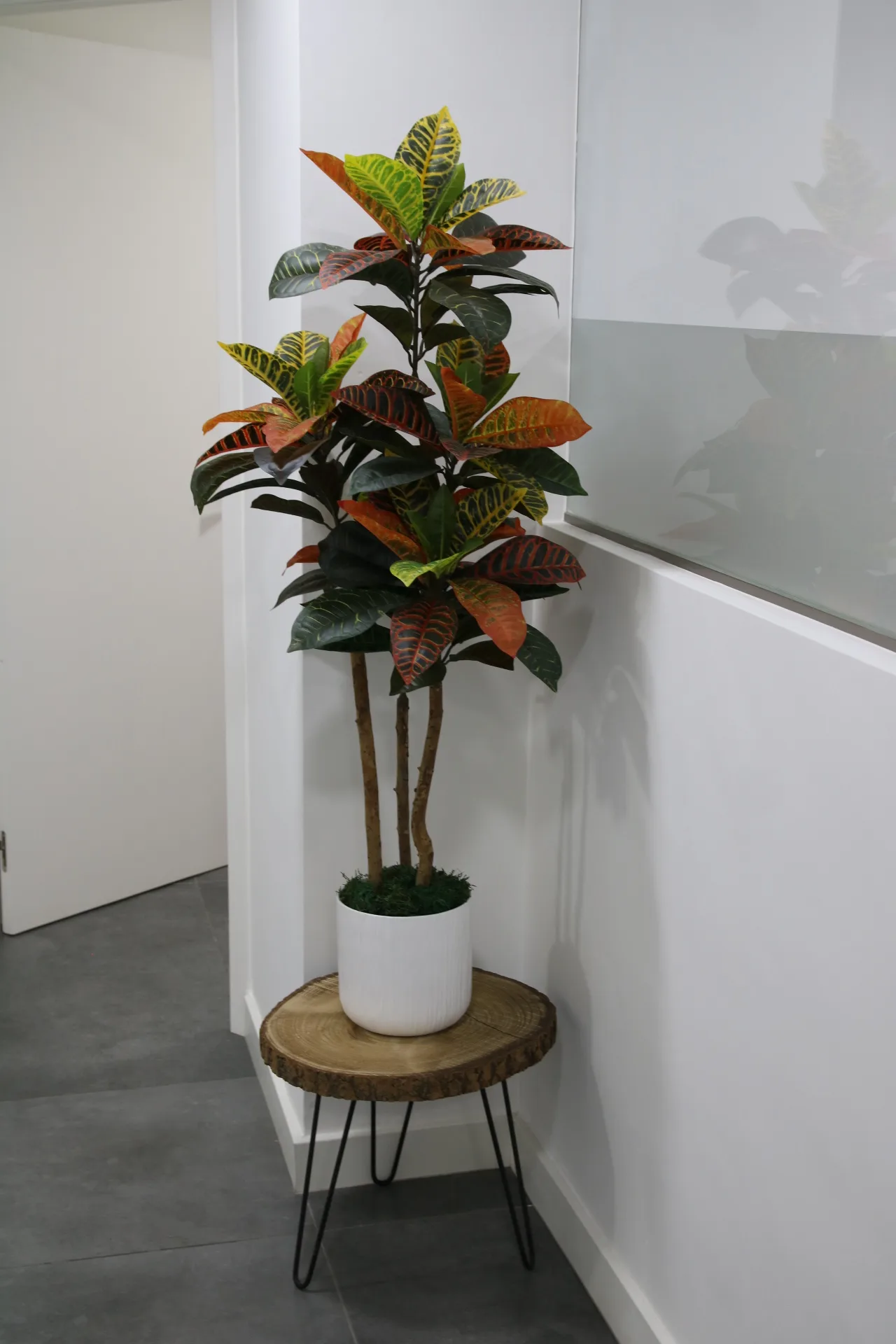 Explicación sobre osteointegración y éxito de implantes en PerioMax Alicante